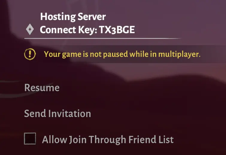Hosting Server