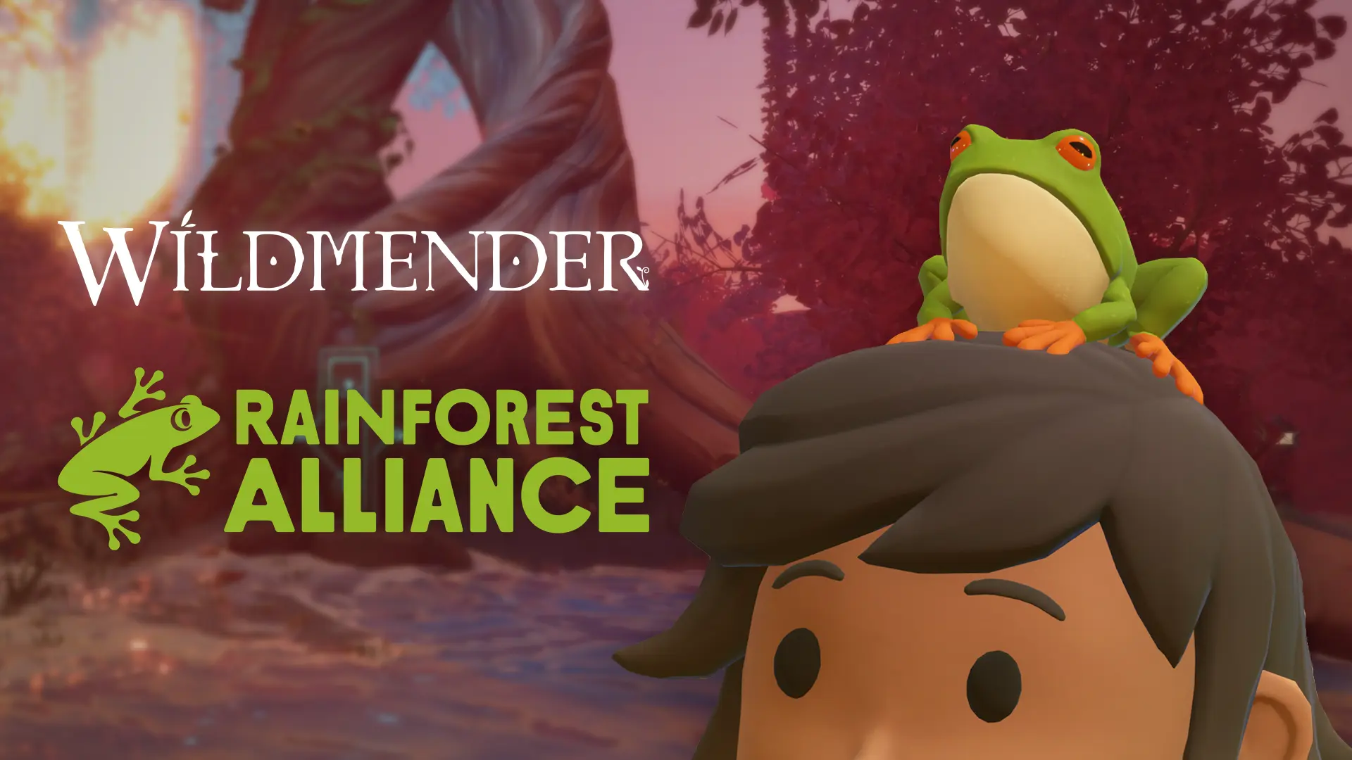 Wildmender x Rainforest Alliance
